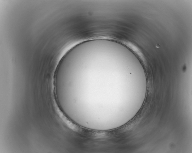 X0000092231431200709140933