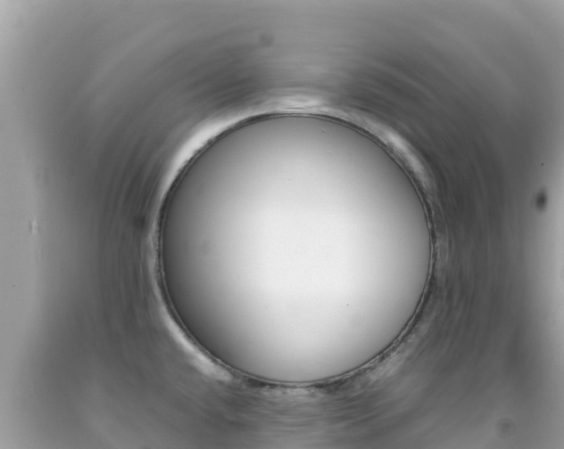 X0000092231432200709140933