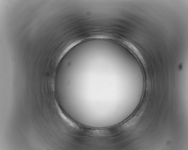 X0000092231433200709140933