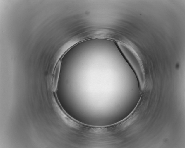 X0000092231434200709140933