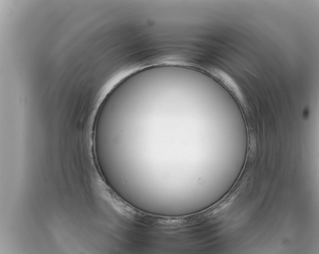 X0000092231435200709140933