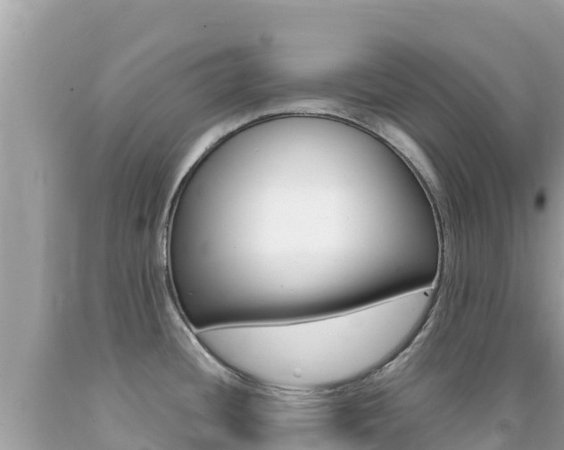 X0000092231436200709140933
