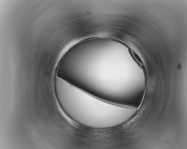 X0000092231437200709140933