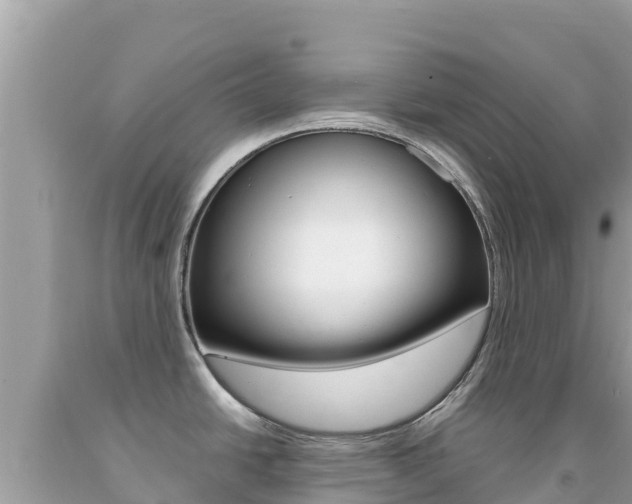 X0000092231438200709140933
