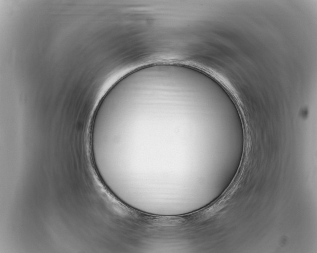 X0000092231440200709140933