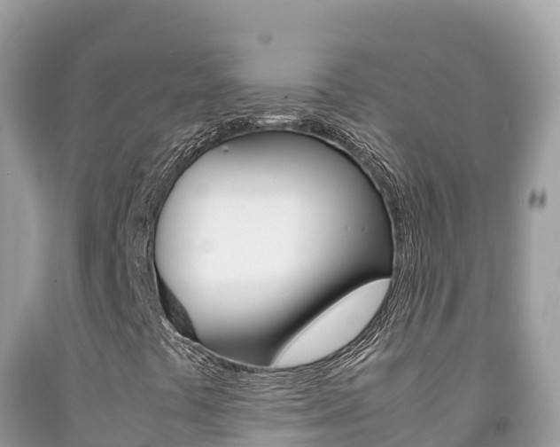 X0000092231441200709140932