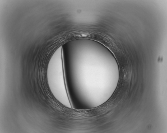 X0000092231442200709140932