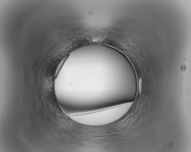 X0000092231443200709140932