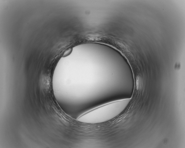 X0000092231444200709140932