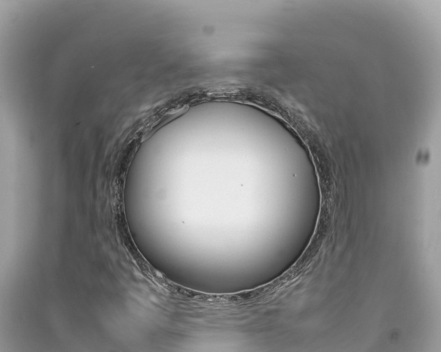X0000092231445200709140932