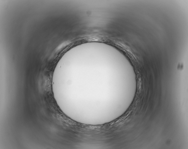 X0000092231446200709140932
