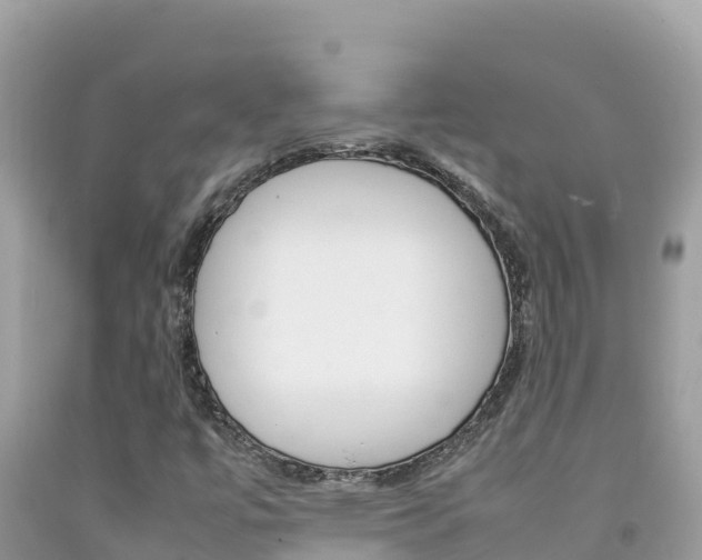 X0000092231447200709140932