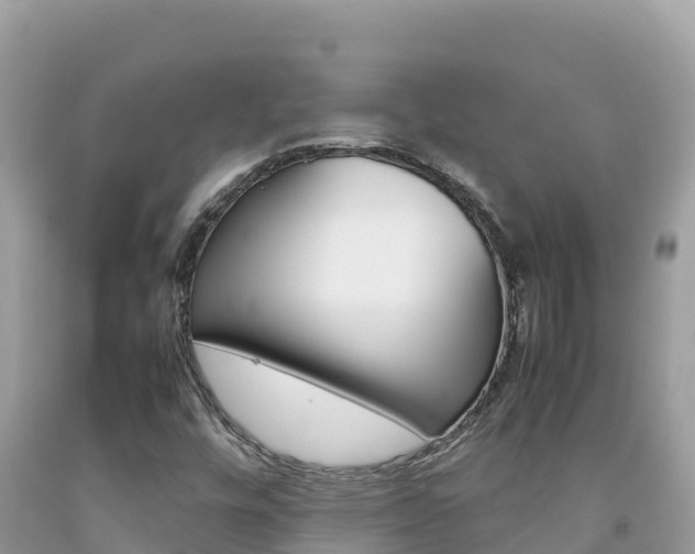 X0000092231448200709140932