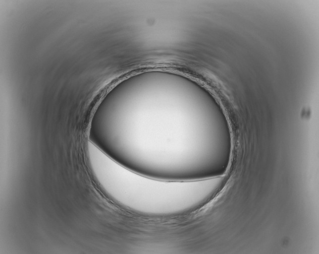 X0000092231449200709140932