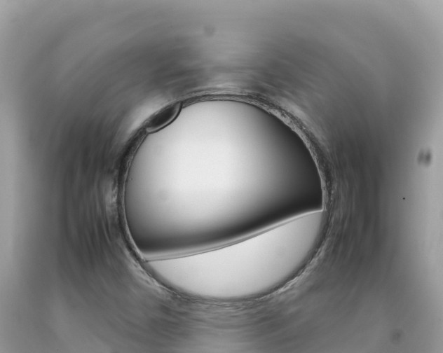 X0000092231450200709140932