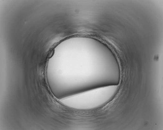 X0000092231451200709140932