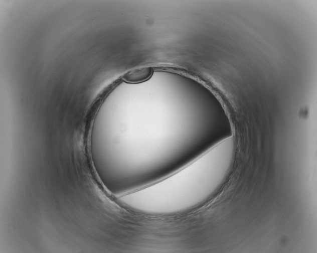 X0000092231452200709140932
