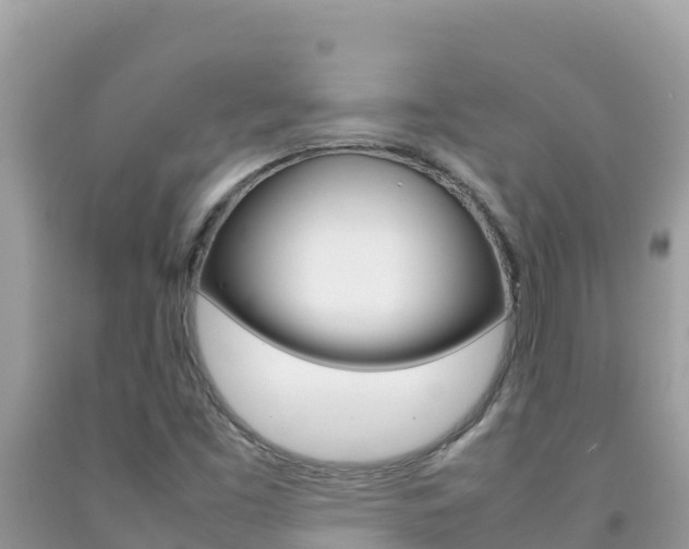X0000092231453200709140932