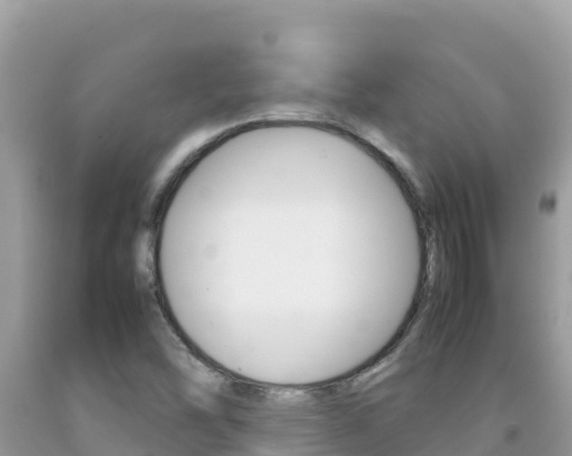 X0000092231454200709140932