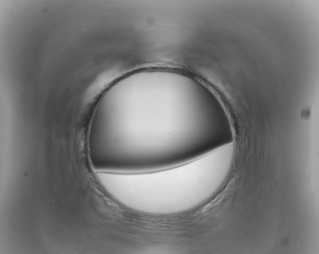 X0000092231455200709140932