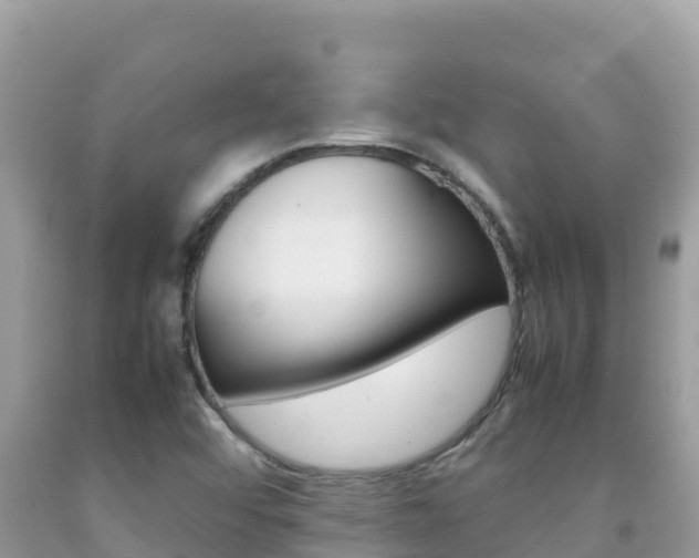 X0000092231456200709140932