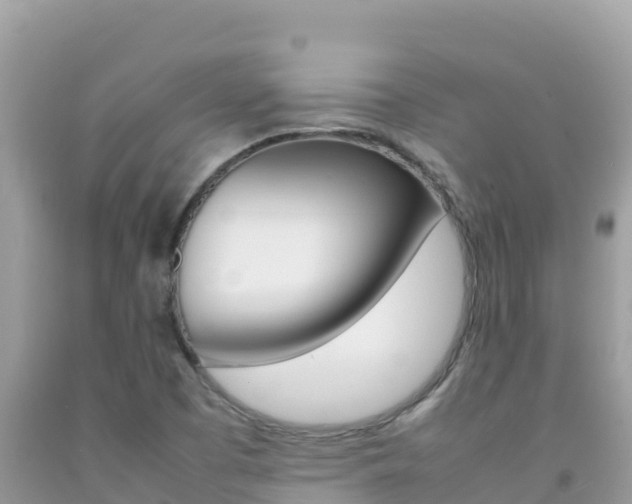 X0000092231457200709140932