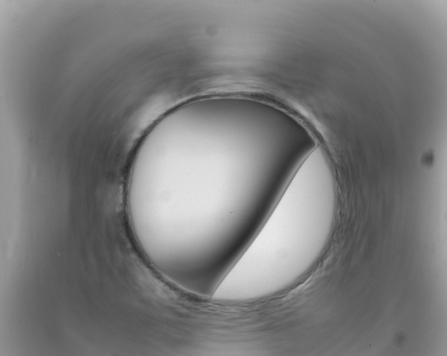 X0000092231459200709140932