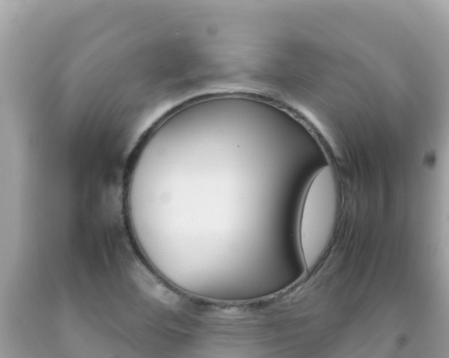 X0000092231460200709140932