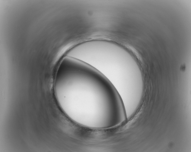 X0000092231461200709140932