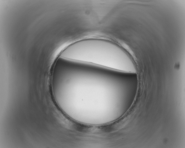 X0000092231463200709140932