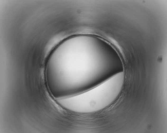 X0000092231464200709140932