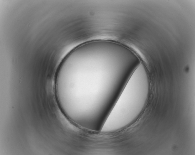 X0000092231468200709140932