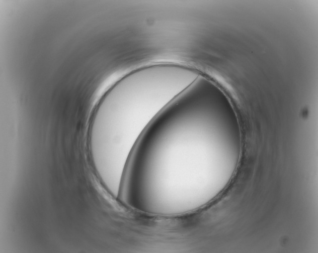 X0000092231469200709140932