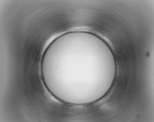 X0000092231470200709140932