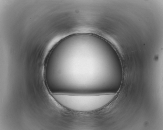 X0000092231472200709140932