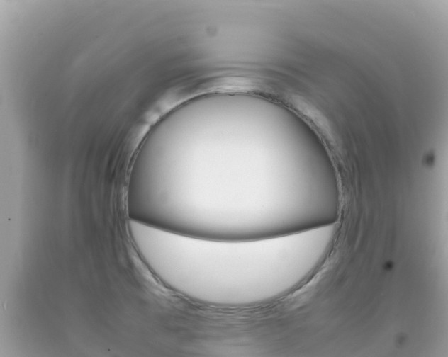 X0000092231473200709140932