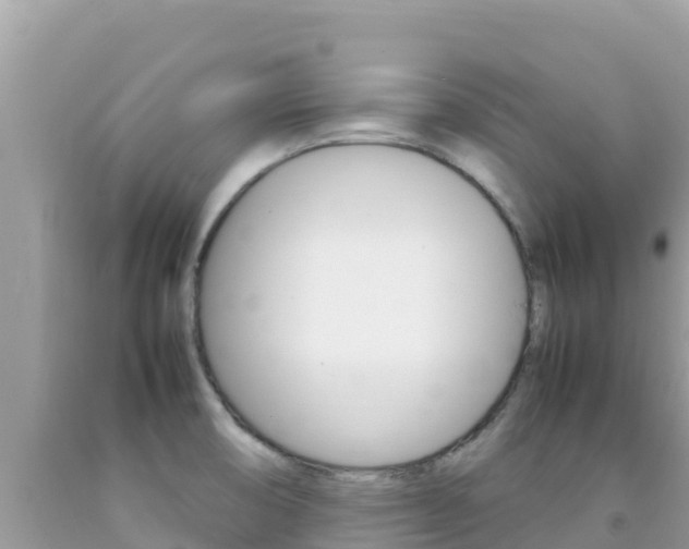 X0000092231474200709140932