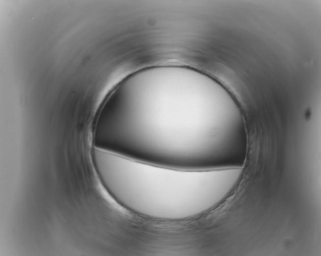 X0000092231476200709140932