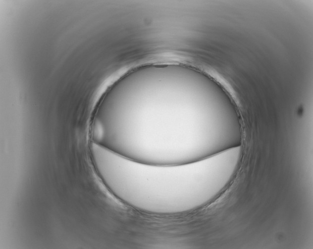 X0000092231477200709140932