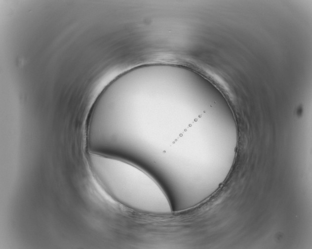 X0000092231479200709140932