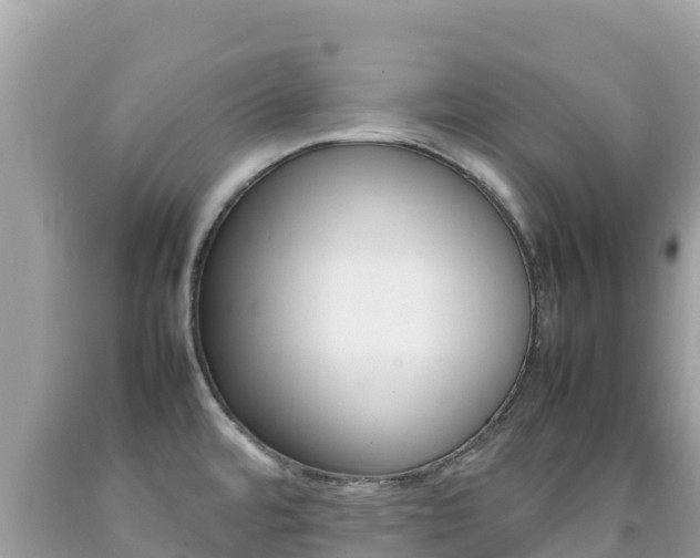 X0000092231480200709140932