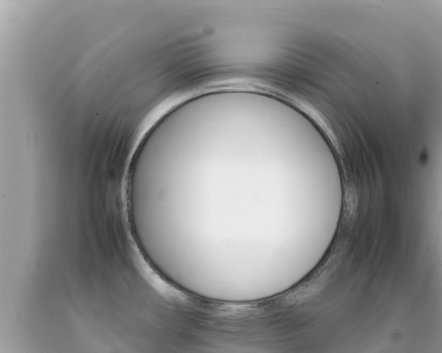 X0000092231482200709140932