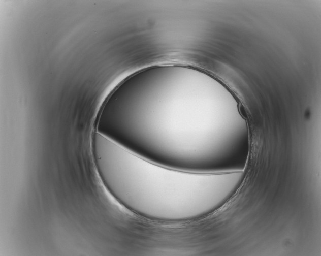 X0000092231484200709140932