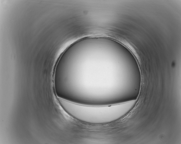 X0000092231485200709140932
