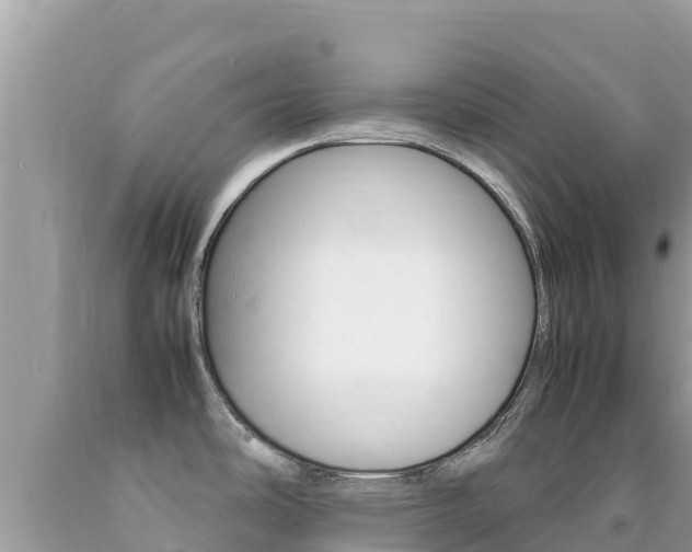 X0000092231486200709140932