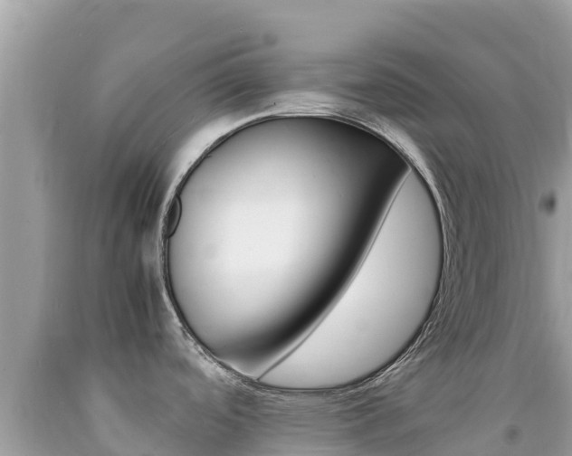 X0000092231488200709140932