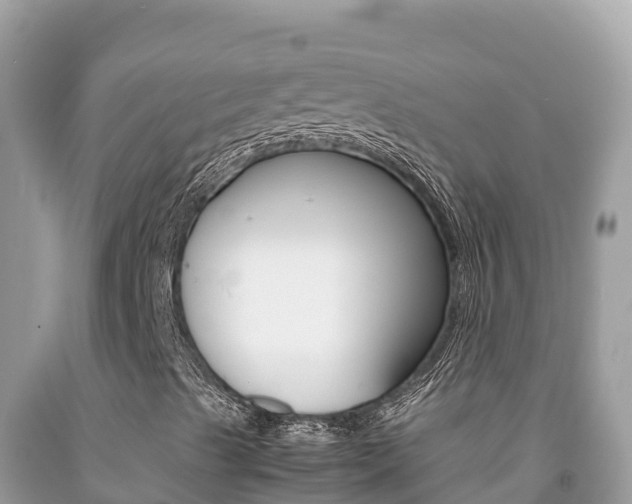 X0000092231489200709140931
