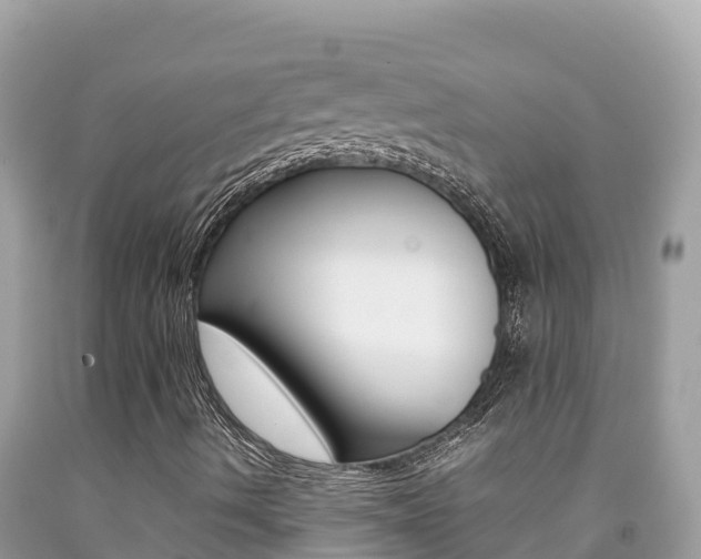 X0000092231490200709140931