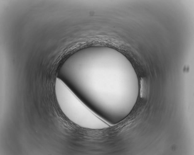 X0000092231491200709140931