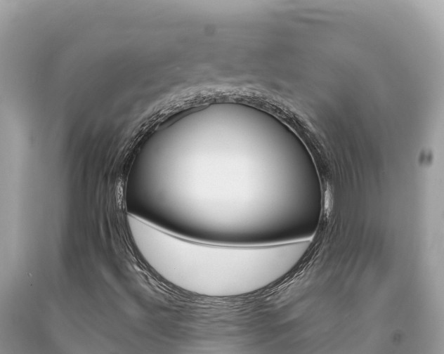 X0000092231492200709140931